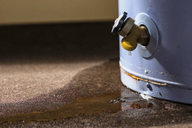 Best Mold removal after water damage  in Chesapeake Beach, MD