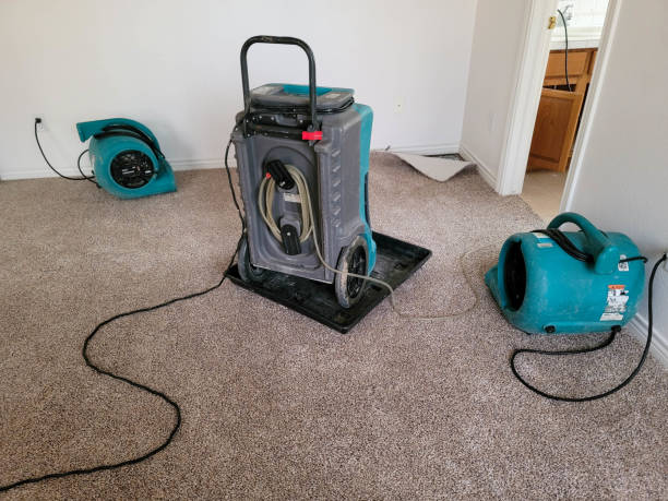 Best Local water damage restoration  in Chesapeake Beach, MD